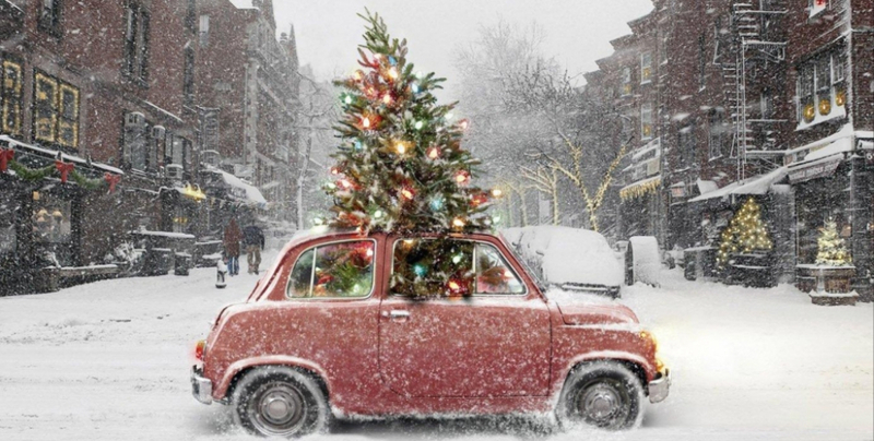 cinquecento natale